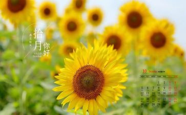 10月的工作计划模板8篇