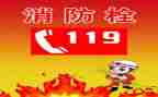 2024年119宣传月总结推荐8篇