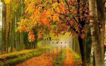12月中班月工作总结7篇