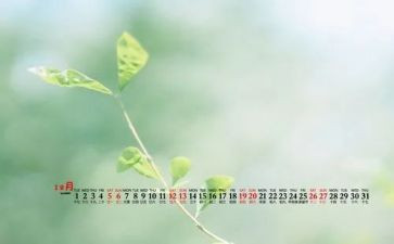 12月计划总结5篇
