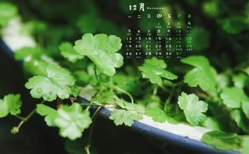 大班12月份月工作计划8篇