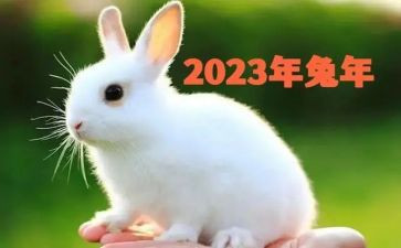 医院个人2023年终工作总结最新6篇