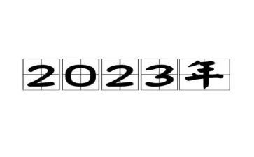 2023年护士个人工作总结参考5篇