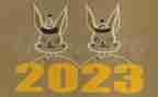 2023年六年级活动方案8篇