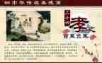 2024孝心少年事迹模板7篇