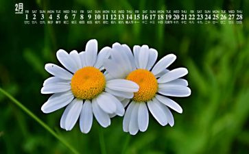 教师2月工作总结7篇