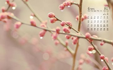 幼儿园小班4月份工作计划6篇