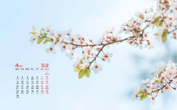 4月份工作总结6篇