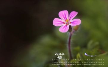 4月班级工作计划6篇
