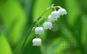 幼儿园4月活动总结8篇