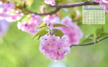 小班教师4月份工作总结8篇