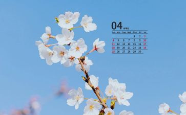 销售部4月工作计划6篇