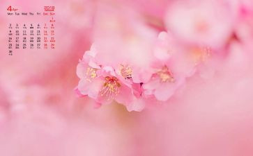 4月活动总结通用7篇