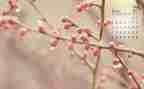 幼儿园小班4月份工作计划6篇