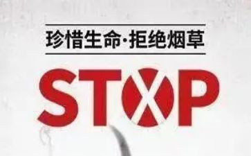 教师531培训总结优质5篇