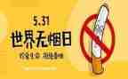 教师531培训总结模板7篇