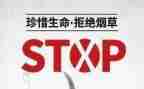 教师531培训总结优质5篇