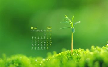 6月工作心得6篇