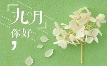 小小班9月份工作总结优质7篇