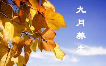 幼儿园9月工作总结6篇