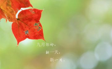 9月工作报告8篇