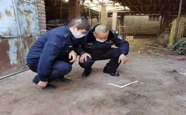 档案管理半年度工作总结6篇