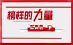 雷锋好榜样的作文精选5篇