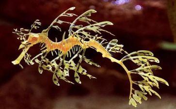 生物学期教研工作计划6篇