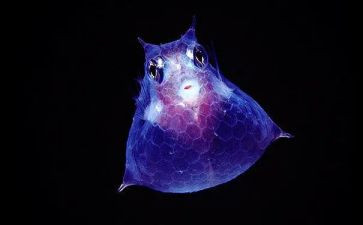 生物教师个人年度工作总结8篇