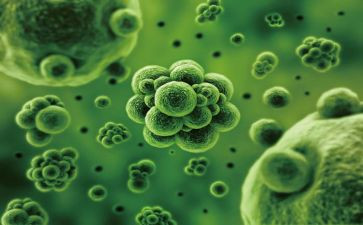 生物教师年度工作总结8篇