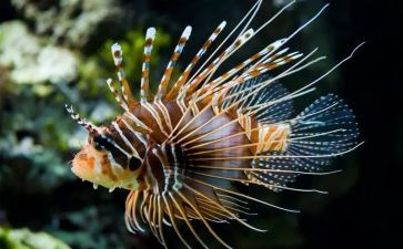 生物组教研工作总结6篇
