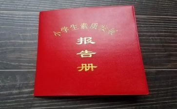 实践报告册模板模板7篇
