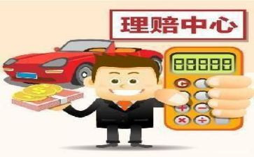 保险的个人总结报告模板6篇