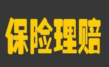 保险的心得模板6篇