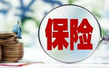 保险的个人总结报告最新8篇