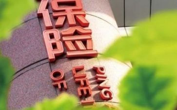 保险的个人总结报告通用8篇