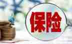 保险的个人总结报告最新8篇