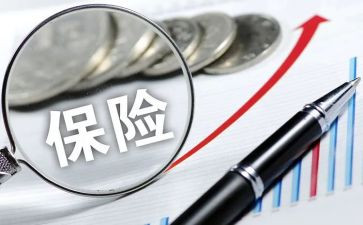 2024年保险业务员年终总结7篇
