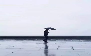 把握命运800字作文7篇