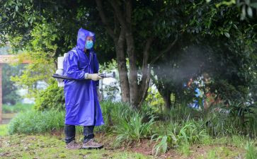 病媒生物防治工作总结7篇