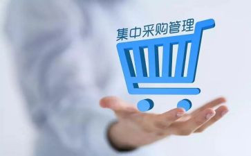 2024年采购工作总结和2024年工作计划精选7篇