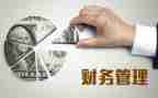 财务组工作计划5篇
