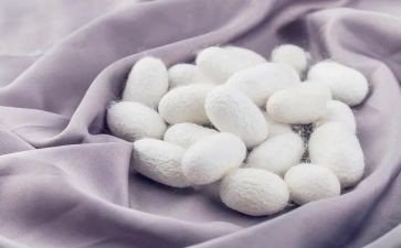 波蚕豆作文6篇