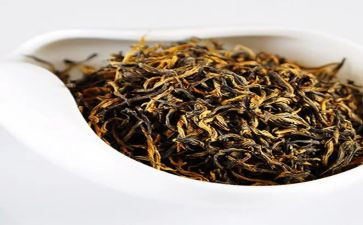 茶培训心得体会精选6篇