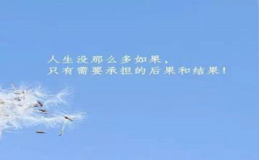 超越的作文800字5篇