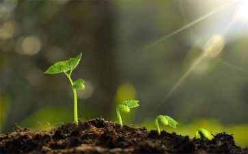 成长感悟类的作文推荐7篇