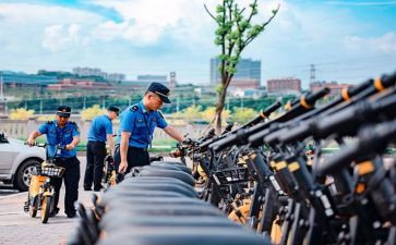 2024年城管年度总结6篇