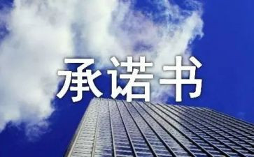 签订个人承诺书6篇