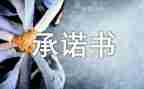 工地施工安全承诺书8篇