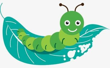 美术活动毛毛虫教案6篇
